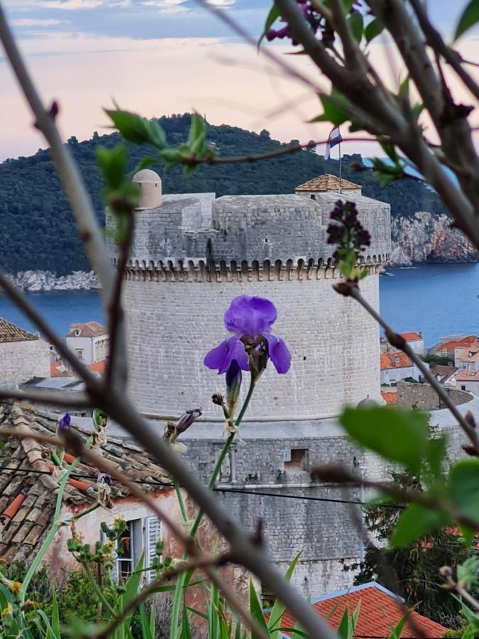 Apartment Bruana 5 Dubrovnik Kültér fotó
