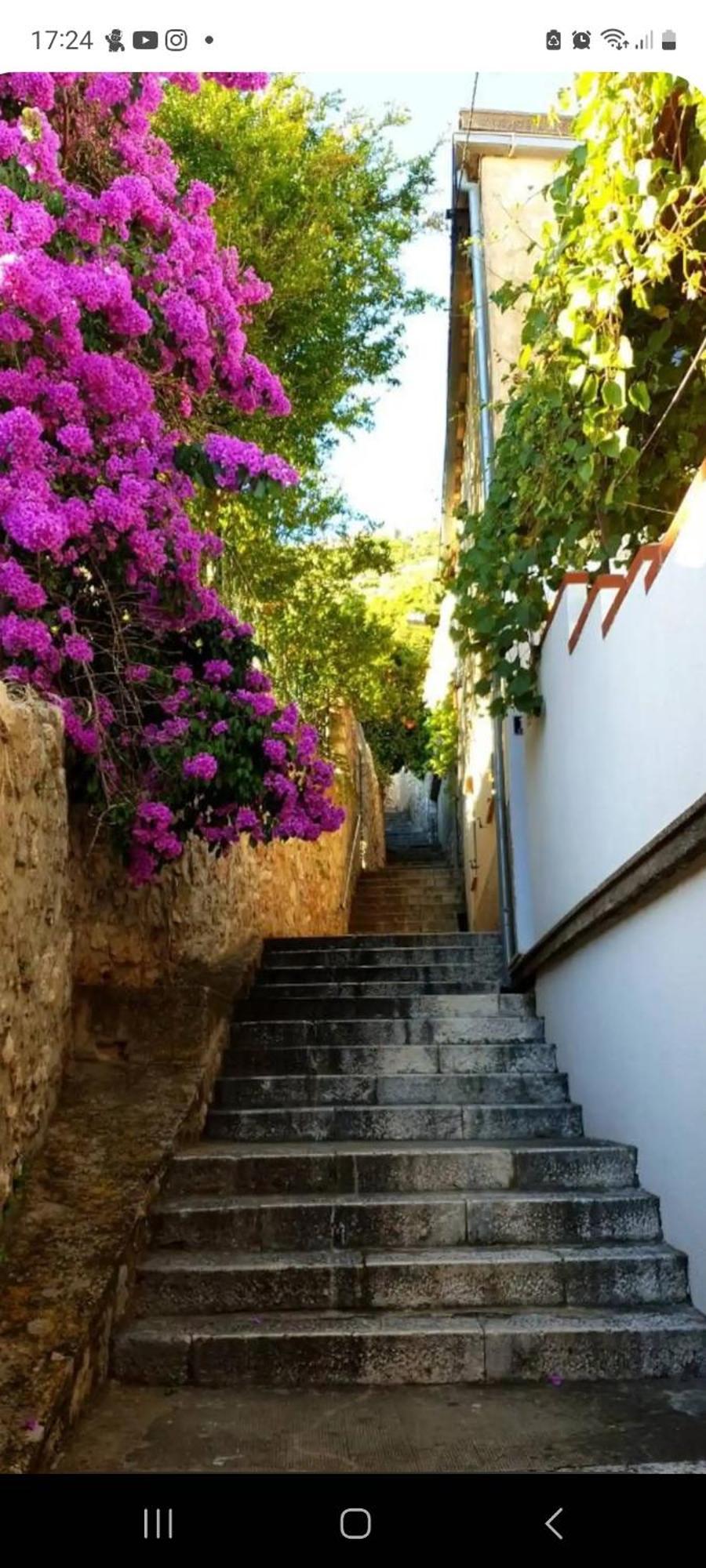 Apartment Bruana 5 Dubrovnik Kültér fotó